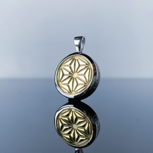 KN-004 Silver Top